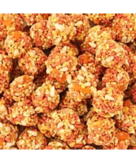 1.36kg Lafeber NutriBerries Tropical Fruit Complete Parrot Food